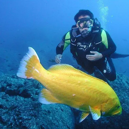 Quinta Eiras Πάρκο διακοπών