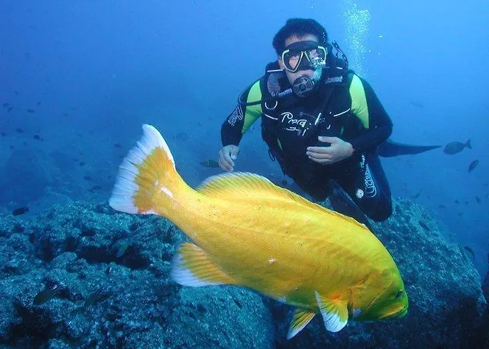 Quinta Eiras Parque de vacaciones